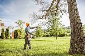 Reliable Bensville, MD Tree Removal and Landscaping Services Solutions